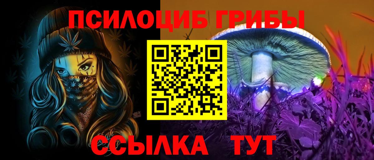 Псилоцибиновые грибы Cubensis Назарово