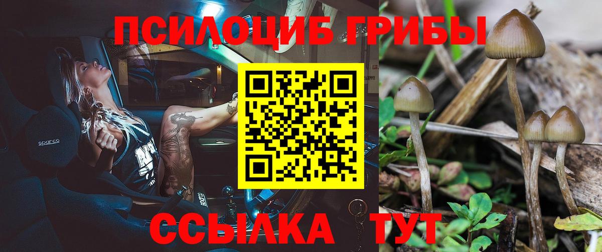 Псилоцибиновые грибы прущие грибы  Вход с VPN  Псилоцибиновые грибы ЛСД  Назарово 